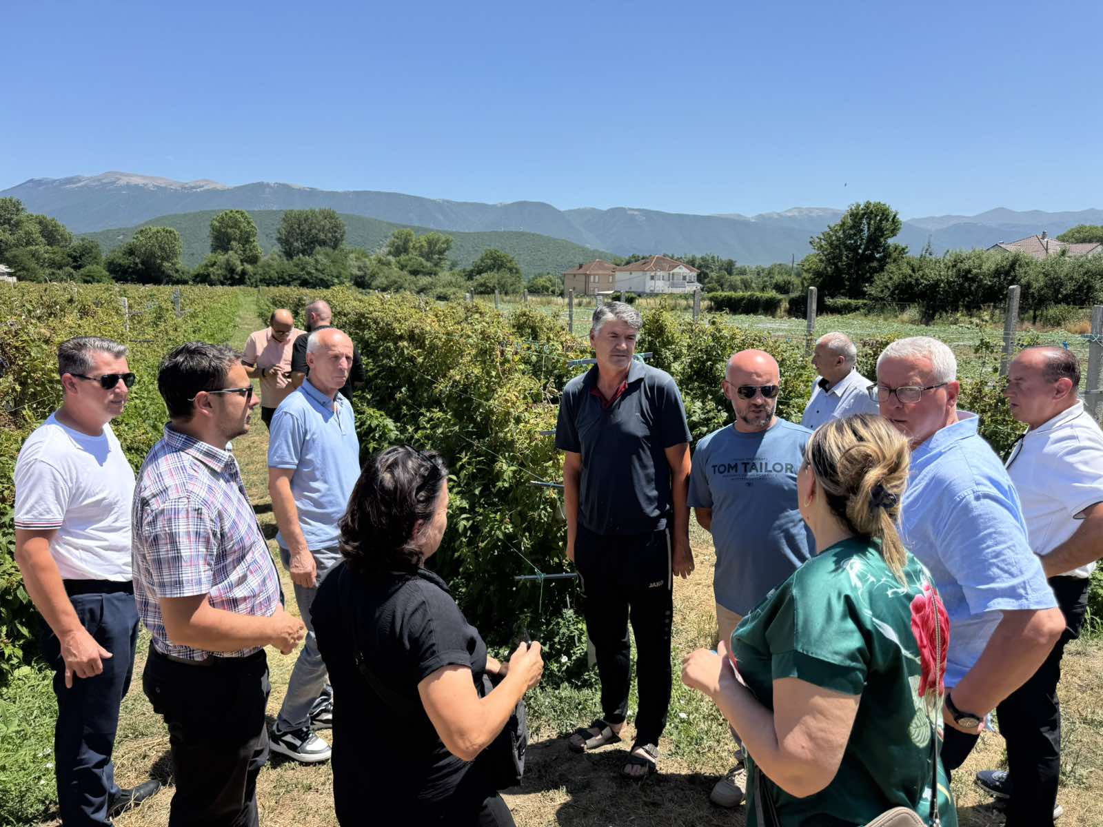 Delegacion nga Kosova